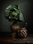 Still-life with Cabbage